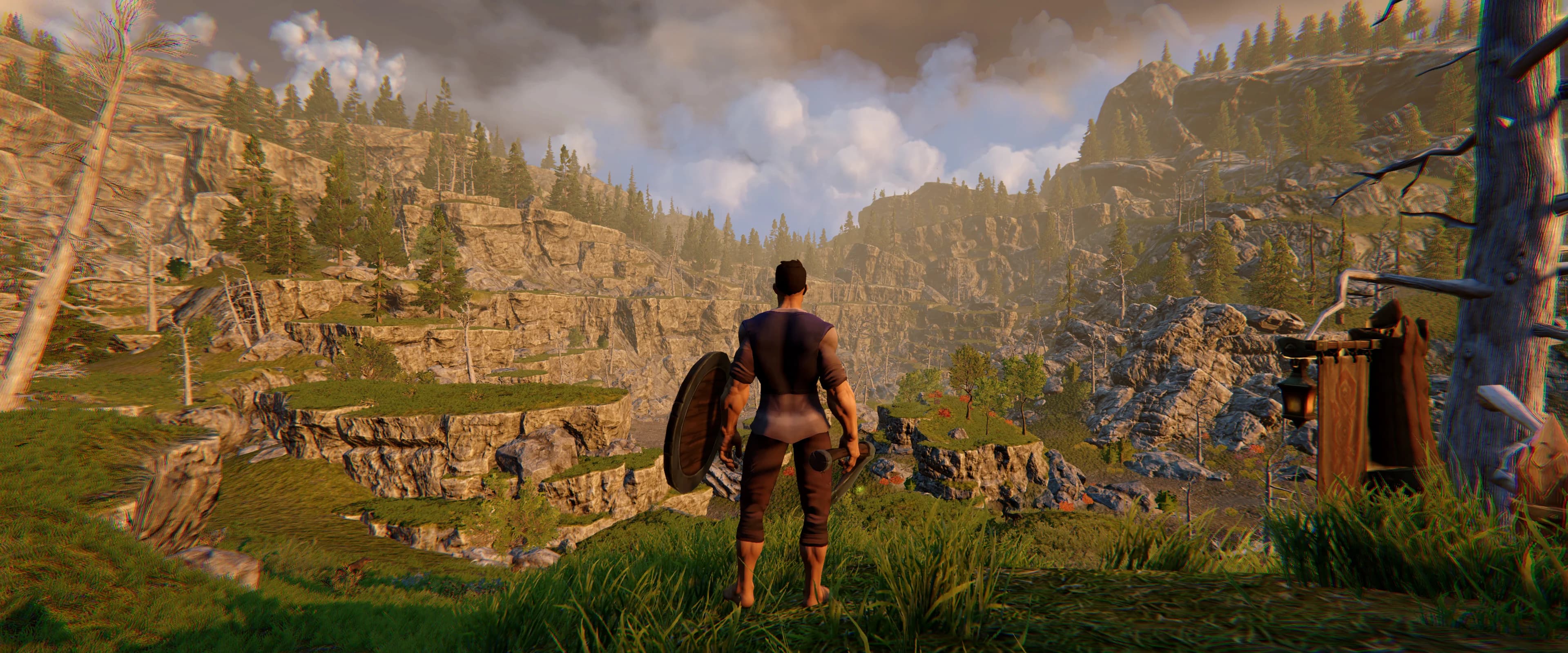 An adventurer overlooking the pine-covered cliffs and winding road through Rimwatch